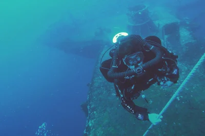 USS Oriskany Marine Life: Coral Development Study on Artificial Reef