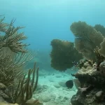The Marquesas Keys Key West
