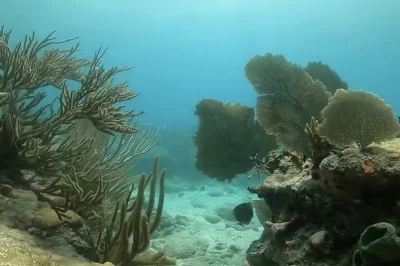 The Marquesas Keys Key West