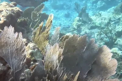 Flying After Diving in Key Largo: Safe Planning for Your Return Journey With Maximum Bottom Time