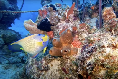 Joe's Tug: The Uncrowded Key West Wreck That Photography Enthusiasts Love