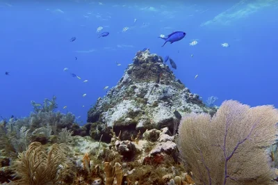 Dive Gear Delivery to Your Key West Hotel: Skip the Shop Visit Altogether