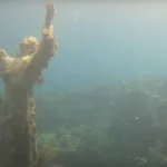 Extended Bottom Time Diving: The Decompression Strategies That Add 15 Minutes to Every Deep Dive