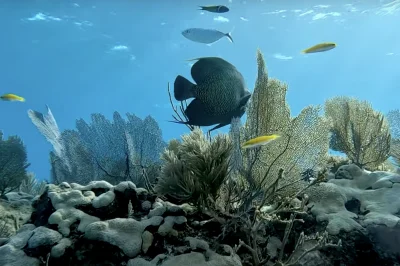 No-Decompression Limits for Key Largo Diving: How Nitrox Extends Your Bottom Time by Up to 40%